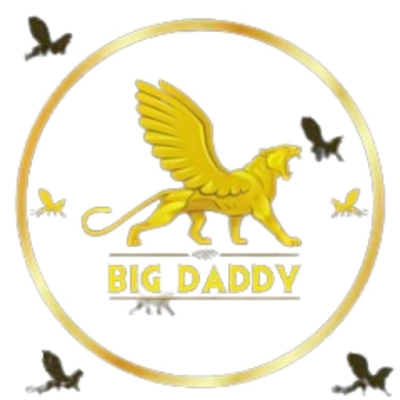 The profile picture for Big Daddy Game