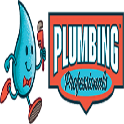 The profile picture for Plumbing Professionals