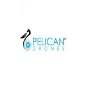 The profile picture for Pelican Drones