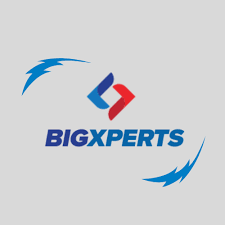 The profile picture for Big Xperts 12