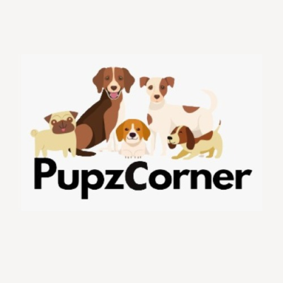 The profile picture for pupz corner