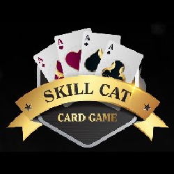 The profile picture for skillcat game