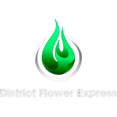 The profile picture for District flower express