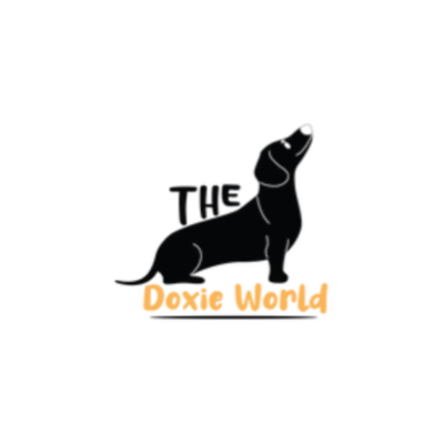 The profile picture for thedoxieworld. com