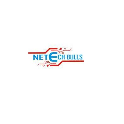 The profile picture for Netech bulls