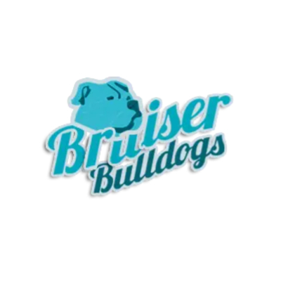 The profile picture for bruiser bulldogs