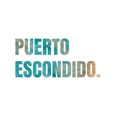 The profile picture for PuertoEscondidoTravel web