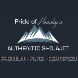 The profile picture for Authentic Shilajit