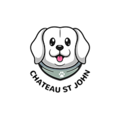 The profile picture for ChateauStJohn web