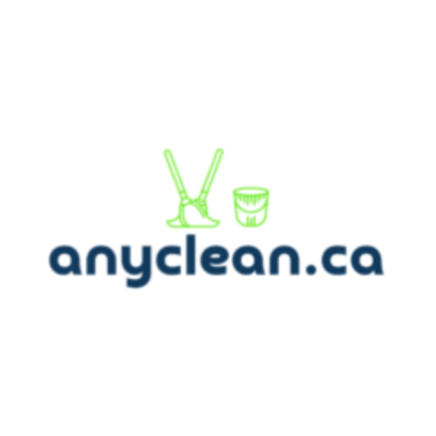 The profile picture for anyclean ca