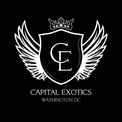 The profile picture for Capital Exotic