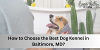 How to Choose the Best Dog Kennel in Baltimore, MD?