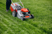 Why You Should Hire a Professional Grass Removal Service and How to Find One?